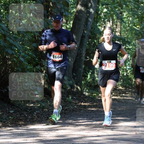 28.09.2025 - 33. Volkslauf durch das schöne Alstertal Strokosch-Dieckow http://msf.ph/oto/8970799 28.09.2025 12:00:30 Laufen 1664, 2199, 2213 meine-sportfotos.de