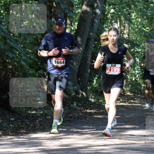 28.09.2025 - 33. Volkslauf durch das schöne Alstertal Strokosch-Dieckow http://msf.ph/oto/8970800 28.09.2025 12:00:30 Laufen 1664, 2199, 2213 meine-sportfotos.de