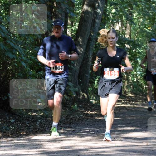 28.09.2025 - 33. Volkslauf durch das schöne Alstertal Strokosch-Dieckow http://msf.ph/oto/8970801 28.09.2025 12:00:30 Laufen 1664, 2199, 2213 meine-sportfotos.de