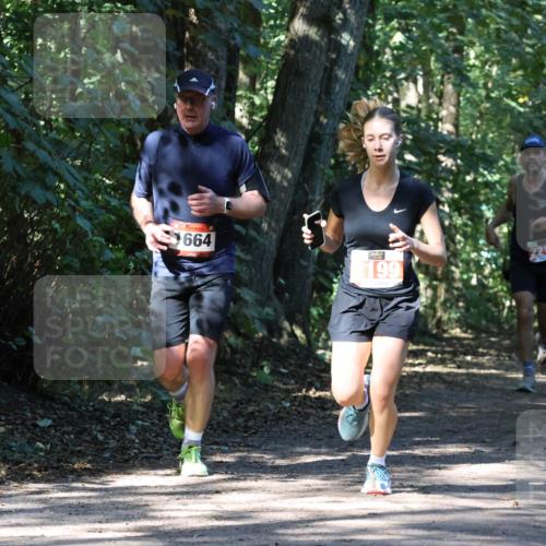 28.09.2025 - 33. Volkslauf durch das schöne Alstertal Strokosch-Dieckow http://msf.ph/oto/8970802 28.09.2025 12:00:30 Laufen 664, 2199, 2213 meine-sportfotos.de