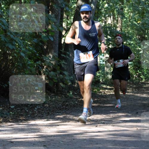28.09.2025 - 33. Volkslauf durch das schöne Alstertal Strokosch-Dieckow http://msf.ph/oto/8970803 28.09.2025 12:00:33 Laufen 2213, 2292 meine-sportfotos.de