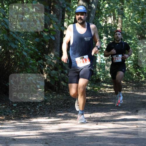 28.09.2025 - 33. Volkslauf durch das schöne Alstertal Strokosch-Dieckow http://msf.ph/oto/8970805 28.09.2025 12:00:33 Laufen 2213, 2292 meine-sportfotos.de