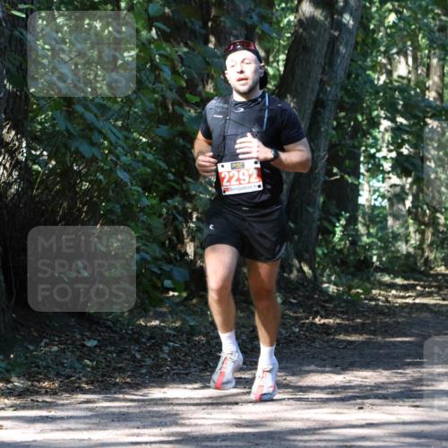 28.09.2025 - 33. Volkslauf durch das schöne Alstertal Strokosch-Dieckow http://msf.ph/oto/8970806 28.09.2025 12:00:35 Laufen 2292 meine-sportfotos.de