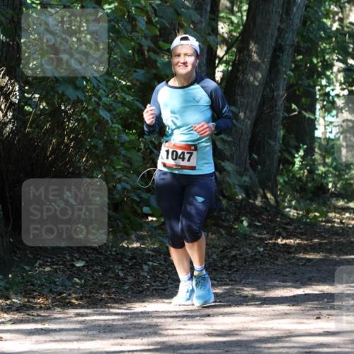 28.09.2025 - 33. Volkslauf durch das schöne Alstertal Strokosch-Dieckow http://msf.ph/oto/8970810 28.09.2025 12:00:54 Laufen 1047, 1671 meine-sportfotos.de