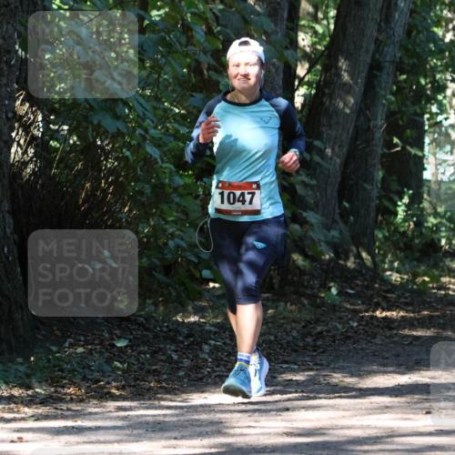 28.09.2025 - 33. Volkslauf durch das schöne Alstertal Strokosch-Dieckow http://msf.ph/oto/8970812 28.09.2025 12:00:54 Laufen 1047, 1671 meine-sportfotos.de