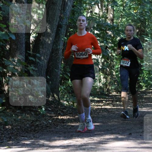 28.09.2025 - 33. Volkslauf durch das schöne Alstertal Strokosch-Dieckow http://msf.ph/oto/8970819 28.09.2025 12:01:06 Laufen 1060, 1032 meine-sportfotos.de