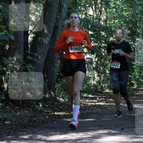 28.09.2025 - 33. Volkslauf durch das schöne Alstertal Strokosch-Dieckow http://msf.ph/oto/8970821 28.09.2025 12:01:06 Laufen 1060, 1032 meine-sportfotos.de
