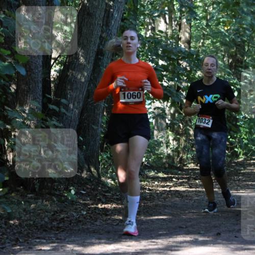 28.09.2025 - 33. Volkslauf durch das schöne Alstertal Strokosch-Dieckow http://msf.ph/oto/8970822 28.09.2025 12:01:06 Laufen 1060, 1032 meine-sportfotos.de