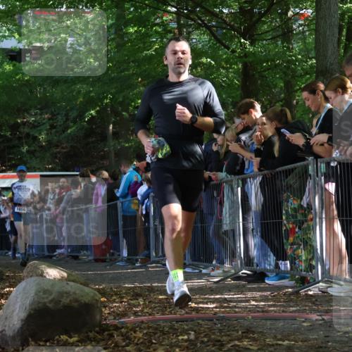 28.09.2025 - 33. Volkslauf durch das schöne Alstertal Strokosch-Dieckow http://msf.ph/oto/8970828 28.09.2025 11:52:38 Ziel 1580, 1656 meine-sportfotos.de