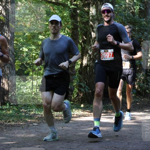 28.09.2025 - 33. Volkslauf durch das schöne Alstertal Strokosch-Dieckow http://msf.ph/oto/8970830 28.09.2025 12:01:19 Laufen 2607 meine-sportfotos.de