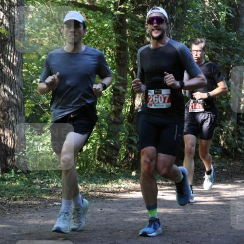 28.09.2025 - 33. Volkslauf durch das schöne Alstertal Strokosch-Dieckow http://msf.ph/oto/8970832 28.09.2025 12:01:19 Laufen 2607, 2149 meine-sportfotos.de