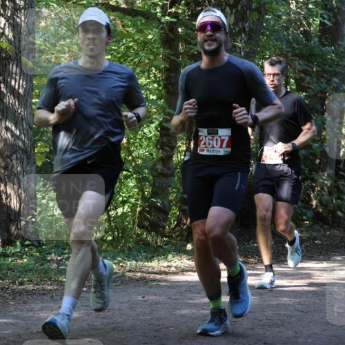 28.09.2025 - 33. Volkslauf durch das schöne Alstertal Strokosch-Dieckow http://msf.ph/oto/8970833 28.09.2025 12:01:19 Laufen 2607 meine-sportfotos.de