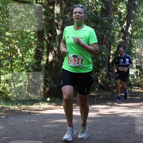 28.09.2025 - 33. Volkslauf durch das schöne Alstertal Strokosch-Dieckow http://msf.ph/oto/8970839 28.09.2025 12:01:22 Laufen 2534, 1681 meine-sportfotos.de