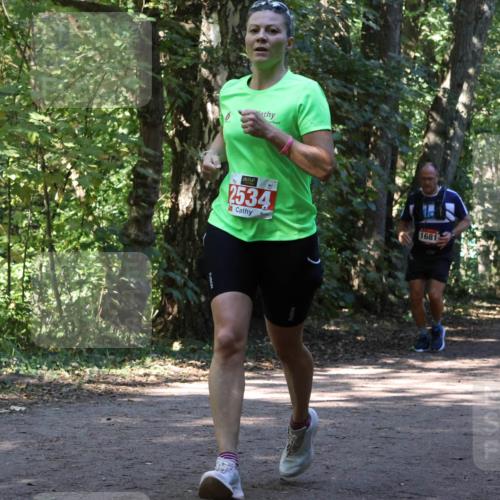 28.09.2025 - 33. Volkslauf durch das schöne Alstertal Strokosch-Dieckow http://msf.ph/oto/8970840 28.09.2025 12:01:22 Laufen 2534, 1681 meine-sportfotos.de