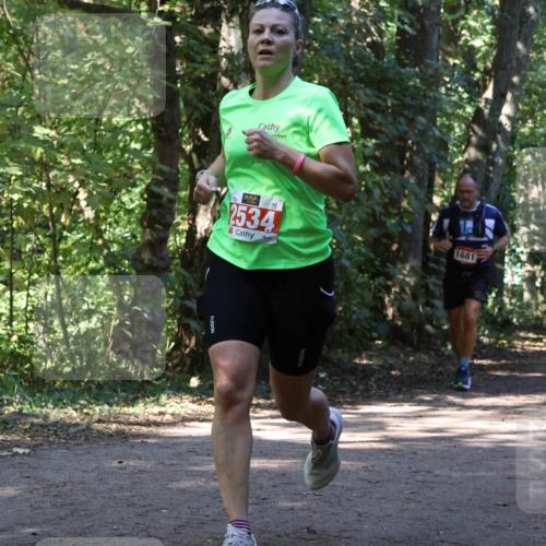 28.09.2025 - 33. Volkslauf durch das schöne Alstertal Strokosch-Dieckow http://msf.ph/oto/8970841 28.09.2025 12:01:22 Laufen 2534, 1681 meine-sportfotos.de