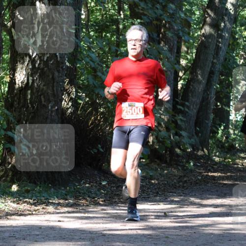 28.09.2025 - 33. Volkslauf durch das schöne Alstertal Strokosch-Dieckow http://msf.ph/oto/8970846 28.09.2025 12:01:28 Laufen 2500, 1038, 1712 meine-sportfotos.de