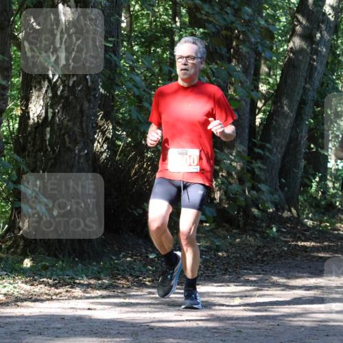 28.09.2025 - 33. Volkslauf durch das schöne Alstertal Strokosch-Dieckow http://msf.ph/oto/8970847 28.09.2025 12:01:28 Laufen 00, 1038, 1712 meine-sportfotos.de