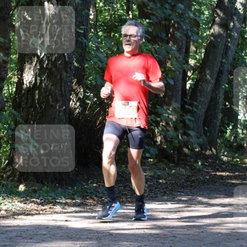 28.09.2025 - 33. Volkslauf durch das schöne Alstertal Strokosch-Dieckow http://msf.ph/oto/8970848 28.09.2025 12:01:28 Laufen 500, 1038 meine-sportfotos.de