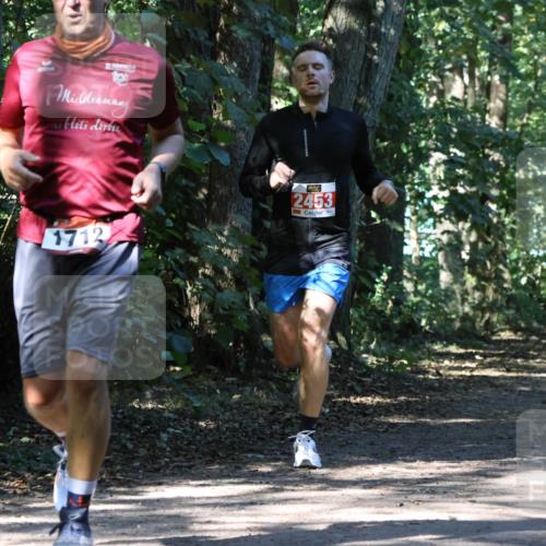 28.09.2025 - 33. Volkslauf durch das schöne Alstertal Strokosch-Dieckow http://msf.ph/oto/8970856 28.09.2025 12:01:33 Laufen 19, 1712, 2453 meine-sportfotos.de