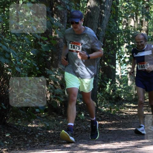 28.09.2025 - 33. Volkslauf durch das schöne Alstertal Strokosch-Dieckow http://msf.ph/oto/8970863 28.09.2025 12:01:40 Laufen 1675, 1655 meine-sportfotos.de