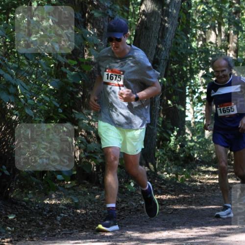 28.09.2025 - 33. Volkslauf durch das schöne Alstertal Strokosch-Dieckow http://msf.ph/oto/8970864 28.09.2025 12:01:41 Laufen 1675, 1655 meine-sportfotos.de