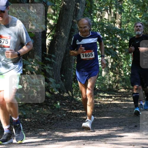 28.09.2025 - 33. Volkslauf durch das schöne Alstertal Strokosch-Dieckow http://msf.ph/oto/8970866 28.09.2025 12:01:42 Laufen 1675, 1655 meine-sportfotos.de