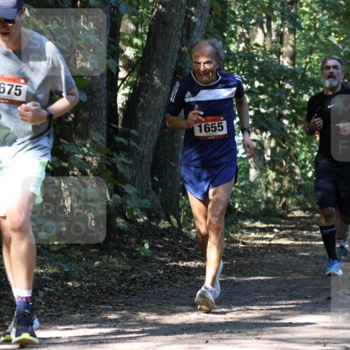 28.09.2025 - 33. Volkslauf durch das schöne Alstertal Strokosch-Dieckow http://msf.ph/oto/8970867 28.09.2025 12:01:42 Laufen 1675, 1655 meine-sportfotos.de