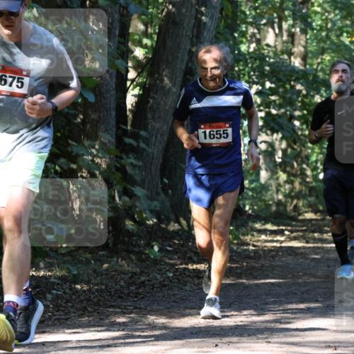 28.09.2025 - 33. Volkslauf durch das schöne Alstertal Strokosch-Dieckow http://msf.ph/oto/8970868 28.09.2025 12:01:42 Laufen 1675, 1655 meine-sportfotos.de