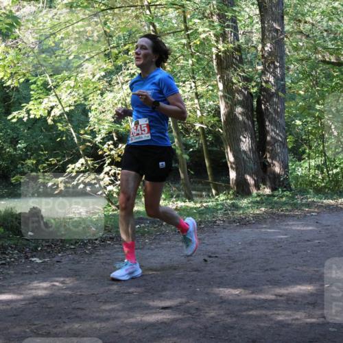 28.09.2025 - 33. Volkslauf durch das schöne Alstertal Strokosch-Dieckow http://msf.ph/oto/8970872 28.09.2025 12:01:53 Laufen 2645 meine-sportfotos.de