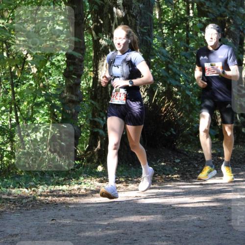 28.09.2025 - 33. Volkslauf durch das schöne Alstertal Strokosch-Dieckow http://msf.ph/oto/8970875 28.09.2025 12:01:59 Laufen 2248 meine-sportfotos.de