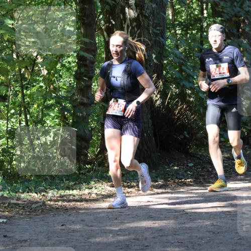 28.09.2025 - 33. Volkslauf durch das schöne Alstertal Strokosch-Dieckow http://msf.ph/oto/8970878 28.09.2025 12:02:00 Laufen 248, 2444 meine-sportfotos.de
