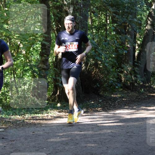 28.09.2025 - 33. Volkslauf durch das schöne Alstertal Strokosch-Dieckow http://msf.ph/oto/8970881 28.09.2025 12:02:01 Laufen 2248, 2444, 1044 meine-sportfotos.de