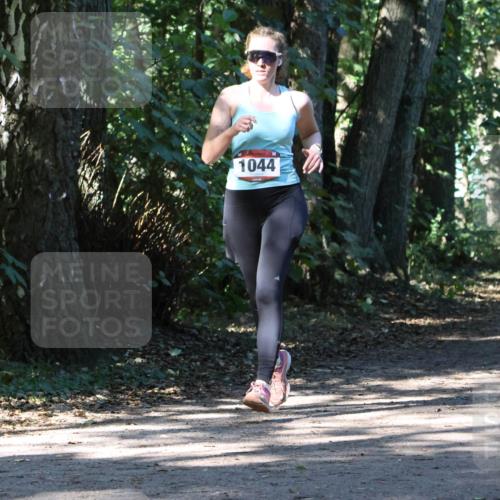 28.09.2025 - 33. Volkslauf durch das schöne Alstertal Strokosch-Dieckow http://msf.ph/oto/8970883 28.09.2025 12:02:03 Laufen 1044, 166 meine-sportfotos.de