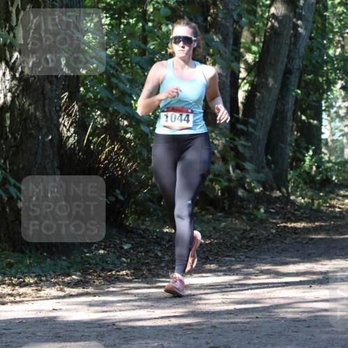 28.09.2025 - 33. Volkslauf durch das schöne Alstertal Strokosch-Dieckow http://msf.ph/oto/8970884 28.09.2025 12:02:03 Laufen 1044, 166 meine-sportfotos.de