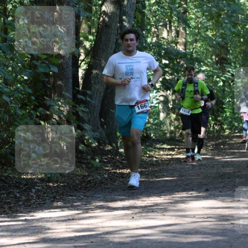 28.09.2025 - 33. Volkslauf durch das schöne Alstertal Strokosch-Dieckow http://msf.ph/oto/8970885 28.09.2025 12:02:09 Laufen 2024, 1667, 1658 meine-sportfotos.de