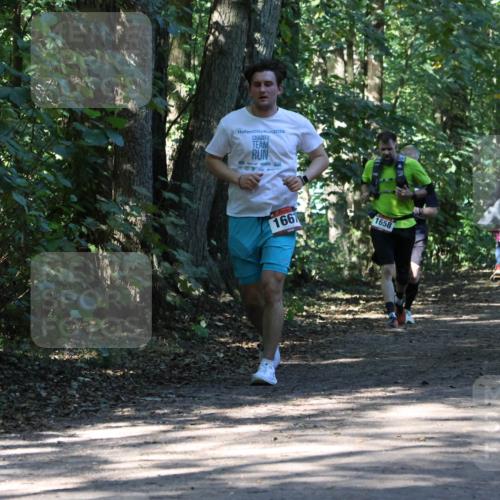 28.09.2025 - 33. Volkslauf durch das schöne Alstertal Strokosch-Dieckow http://msf.ph/oto/8970887 28.09.2025 12:02:09 Laufen 2024, 1667, 1658 meine-sportfotos.de