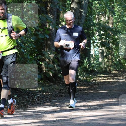 28.09.2025 - 33. Volkslauf durch das schöne Alstertal Strokosch-Dieckow http://msf.ph/oto/8970893 28.09.2025 12:02:16 Laufen 1658, 1685 meine-sportfotos.de