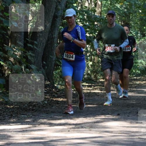 28.09.2025 - 33. Volkslauf durch das schöne Alstertal Strokosch-Dieckow http://msf.ph/oto/8970901 28.09.2025 12:02:38 Laufen 1034, 2459, 1030 meine-sportfotos.de