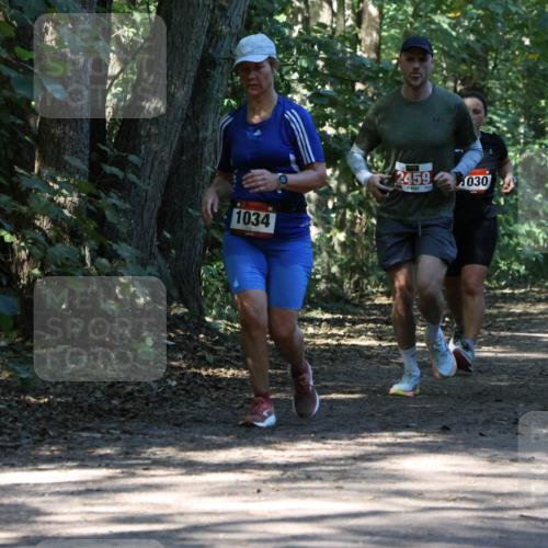 28.09.2025 - 33. Volkslauf durch das schöne Alstertal Strokosch-Dieckow http://msf.ph/oto/8970902 28.09.2025 12:02:38 Laufen 1034, 2459, 030 meine-sportfotos.de