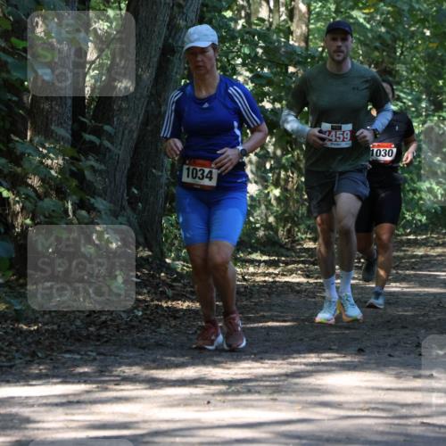 28.09.2025 - 33. Volkslauf durch das schöne Alstertal Strokosch-Dieckow http://msf.ph/oto/8970903 28.09.2025 12:02:38 Laufen 1034, 459, 1030 meine-sportfotos.de