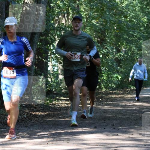 28.09.2025 - 33. Volkslauf durch das schöne Alstertal Strokosch-Dieckow http://msf.ph/oto/8970904 28.09.2025 12:02:39 Laufen 1034, 459, 0 meine-sportfotos.de
