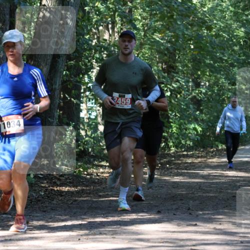 28.09.2025 - 33. Volkslauf durch das schöne Alstertal Strokosch-Dieckow http://msf.ph/oto/8970906 28.09.2025 12:02:39 Laufen 1034, 2459 meine-sportfotos.de