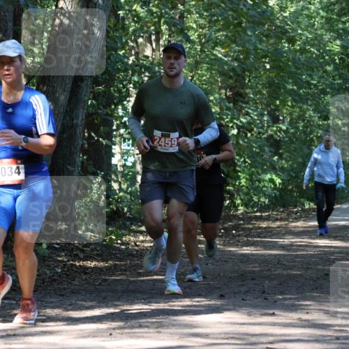 28.09.2025 - 33. Volkslauf durch das schöne Alstertal Strokosch-Dieckow http://msf.ph/oto/8970907 28.09.2025 12:02:39 Laufen 1034, 2459 meine-sportfotos.de