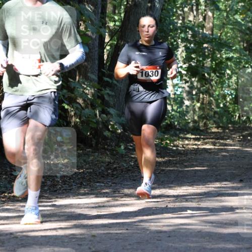 28.09.2025 - 33. Volkslauf durch das schöne Alstertal Strokosch-Dieckow http://msf.ph/oto/8970909 28.09.2025 12:02:42 Laufen 1030 meine-sportfotos.de