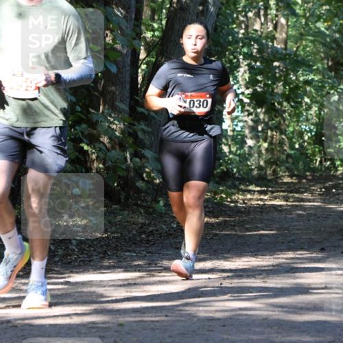 28.09.2025 - 33. Volkslauf durch das schöne Alstertal Strokosch-Dieckow http://msf.ph/oto/8970910 28.09.2025 12:02:42 Laufen 030 meine-sportfotos.de