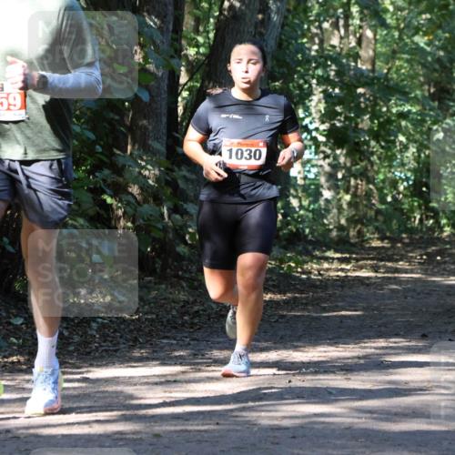 28.09.2025 - 33. Volkslauf durch das schöne Alstertal Strokosch-Dieckow http://msf.ph/oto/8970911 28.09.2025 12:02:42 Laufen 2459, 1030 meine-sportfotos.de