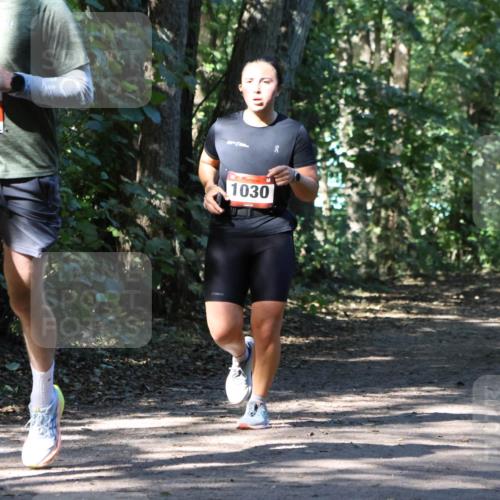 28.09.2025 - 33. Volkslauf durch das schöne Alstertal Strokosch-Dieckow http://msf.ph/oto/8970912 28.09.2025 12:02:42 Laufen 2459, 1030 meine-sportfotos.de