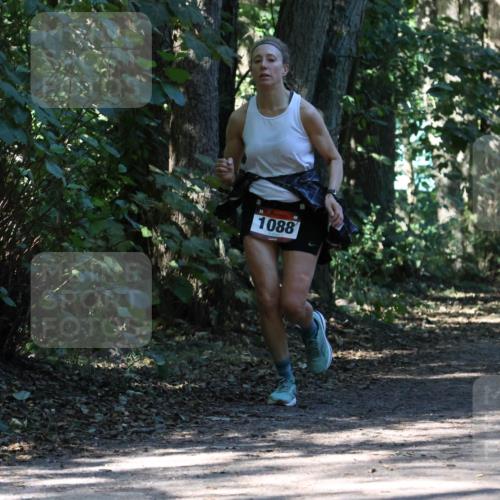 28.09.2025 - 33. Volkslauf durch das schöne Alstertal Strokosch-Dieckow http://msf.ph/oto/8970914 28.09.2025 12:02:53 Laufen 1088, 1795 meine-sportfotos.de