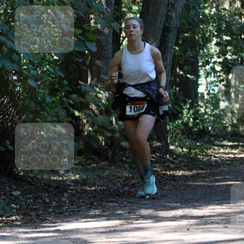 28.09.2025 - 33. Volkslauf durch das schöne Alstertal Strokosch-Dieckow http://msf.ph/oto/8970915 28.09.2025 12:02:53 Laufen 1088, 1795 meine-sportfotos.de