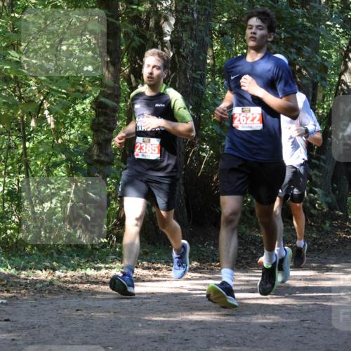 28.09.2025 - 33. Volkslauf durch das schöne Alstertal Strokosch-Dieckow http://msf.ph/oto/8970937 28.09.2025 12:03:40 Laufen 2622, 2385 meine-sportfotos.de
